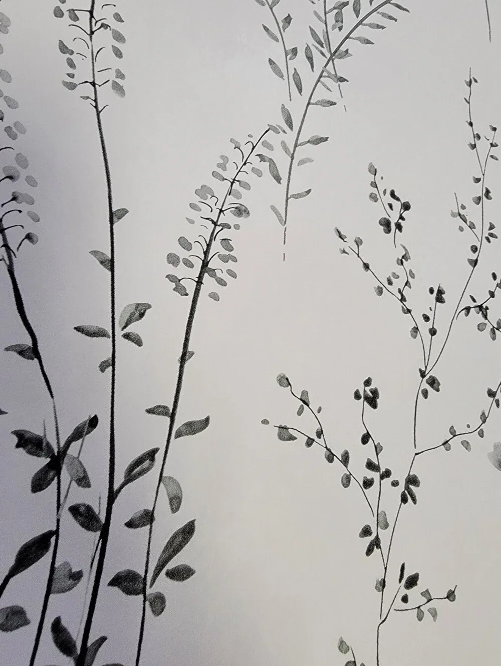 Wallpaper Farmhouse Wildflower Sprigs Black & White